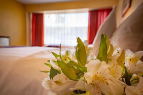 Hotel Alsacia Arequipa